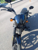 Harley-Davidson Street, 2020 г.