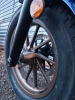 Honda CMX Rebel 500, 2025 г.
