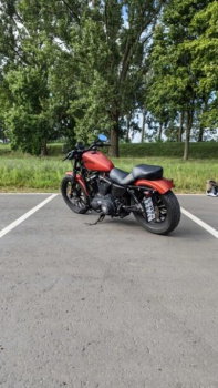 Harley-Davidson Sportster Iron, 2013 г.