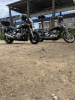 Yamaha XJR 1300, 2001 г.