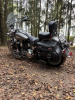 Harley-Davidson Softail Heritage, 2015 г.