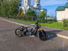 Indian Scout, 2020 г.