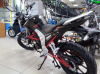 Regulmoto Raptor 250 NEW, 2024 г.