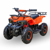Motoland ATV E008 800W, 2024 г.