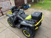 AODES (ODES) ATV 1000, 2024 г.