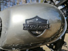 Motoland TEXAS 300 PRO, 2026 г.