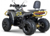 AVM Adventure 250, 2025 г.