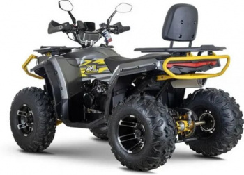 AVM Adventure 250, 2025 г.