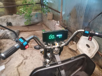 BNP Zevs Ultra Combi, 2025 г.