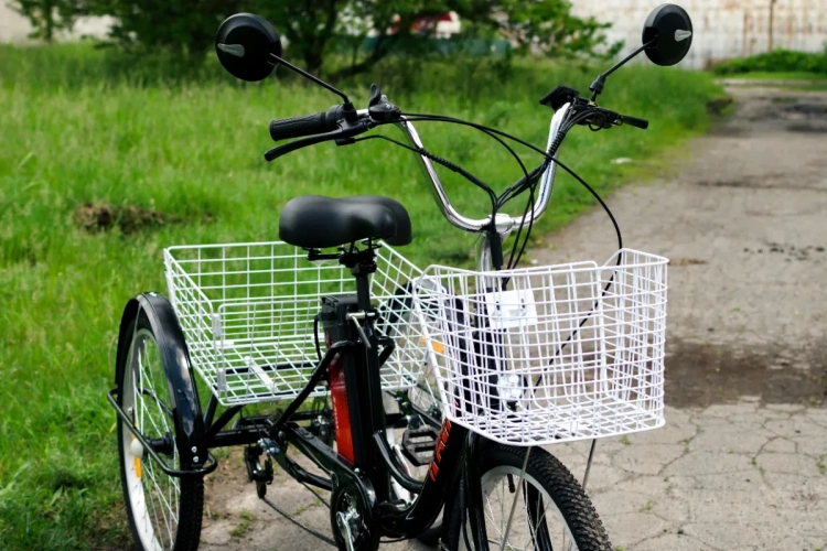  AVM E-ALFA TRIKE 24, 2026 г.