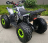 Racer RC RC125 Raptor, 2024 г.