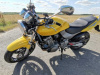 Honda CB Hornet 600, 2000 г.