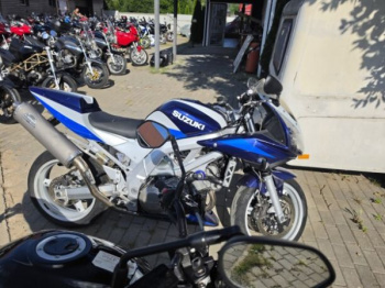 Suzuki SV, 2004 г.