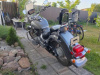 Suzuki Boulevard C50 2006, 2005 г.