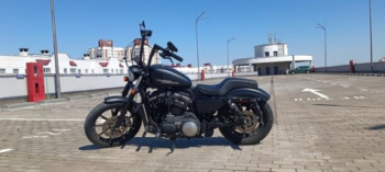Harley-Davidson Sportster XL 883 N, 2020 г.