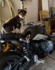 BMW R, 2021 г.