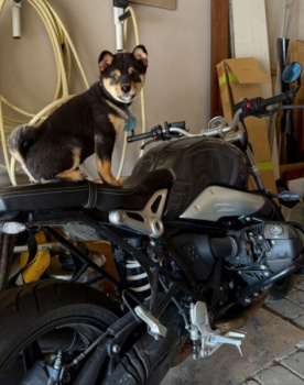 BMW R, 2021 г.