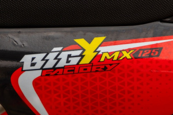 Пит-байк Racer RC MX125E, 2025 г.