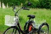  AVM E-ALFA TRIKE 24, 2026 г.