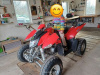 Access SP 300 RR, 2010 г.
