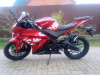 Motoland R1 300, 2026 г.