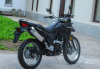 Racer Ranger 250, 2024 г.