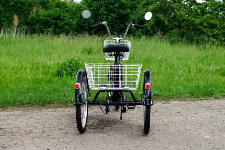  AVM E-ALFA TRIKE 24, 2026 г.