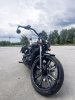 Indian Scout ROGUE, 2023 г.