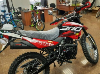 Racer Panther RC300-GY8X с ЭПТС, 2026 г.