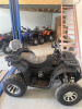 ATV Storm 200 Wild Track Lux, 2025 г.