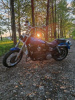 Harley-Davidson Dyna street Bob fxdbil, 2006 г.