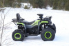Nitro 200 TaoTao Warrior 200cc, 2023 г.