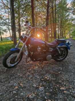 Harley-Davidson Dyna street Bob fxdbil, 2006 г.