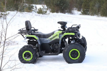 Nitro 200 TaoTao Warrior 200cc, 2023 г.