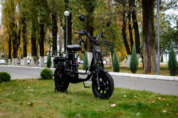  AVM E-ALFA Fat, 2026 г.