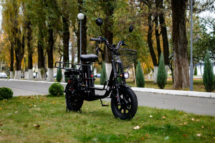  AVM E-ALFA Fat, 2026 г.