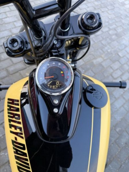 Harley-Davidson Fat Bob 114, 2018 г.