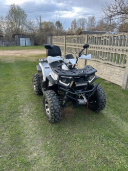 Cobra ECX, 2023 г.