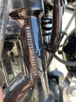 Harley-Davidson Sportster 48, 2020 г.