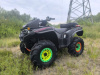 Yamaha Grizzly EPS SE, 2019 г.