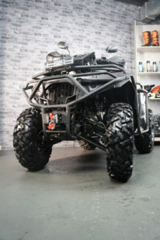 Avantis ATV 300 Lux, 2026 г.