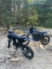 BSE Z1, 2024 г.