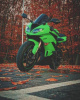 Kawasaki ZXR ZX6R, 2009 г.