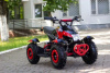 MMG Cobra КОБРА (ECO 800W, 2022 г.