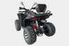 Эксклюзив Редкая модель RAM ATV FX250, 2025 г.