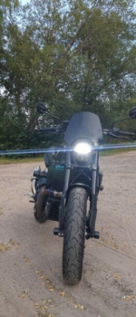 Indian FTR 1200, 2019 г.