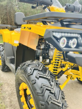 Motoland Wild Track LUX 200, 2026 г.