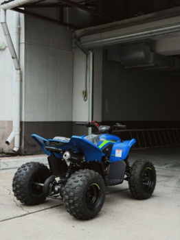 CFMOTO CForce 110 EFI, 2026 г.