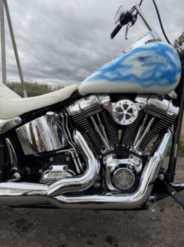 Harley-Davidson Softail Custom, 2008 г.