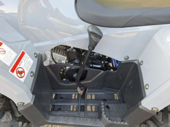 Motoland ATV Fox 125, 2026 г.